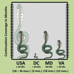 COBRA Continuation Health Coverage in D.C., Maryland and Virginia